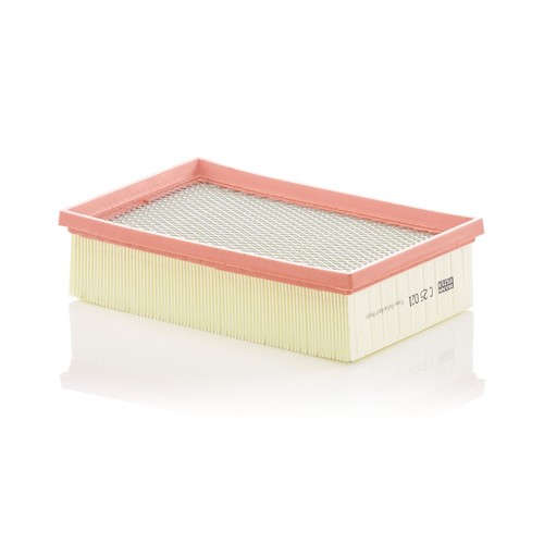 Engine air filter insert - engine,