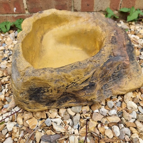 Reptile snake bathing pool - snake,