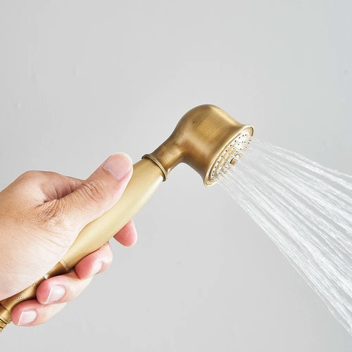 Antique brass handshower - brass,