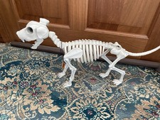 Halloween  Skeleton Plastic