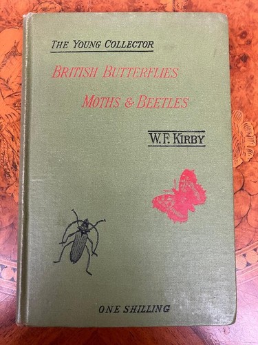 British butterflies moths - british,