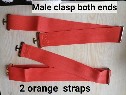 Surcingle strap male both ends - both,