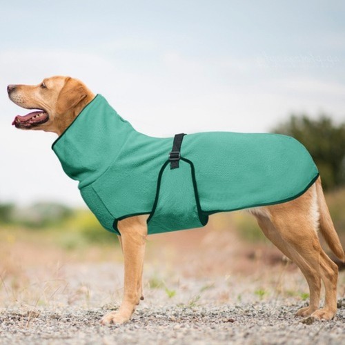Dog pet whippet jacket winter - pet,