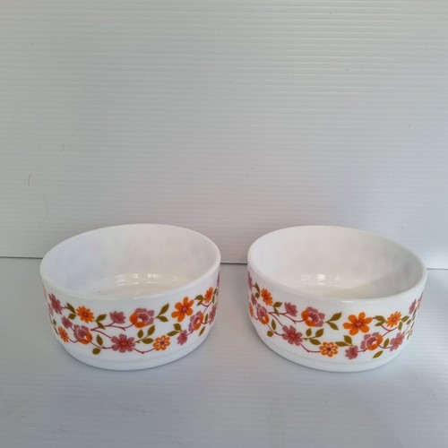 Vintage s arcopal - vintage,