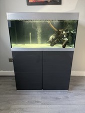 Oase Highline 300 Fish Tank