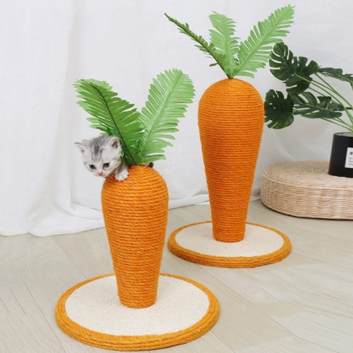 Cat kitten tall carrot - carrot, tree