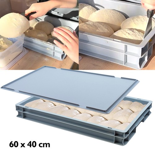 Pizza bread dough - pizza, proofing