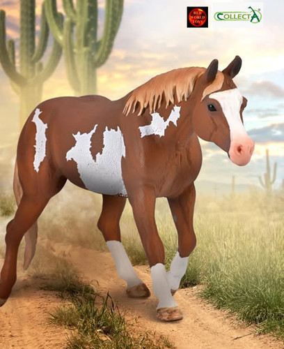 American paint horse chestnut - american,