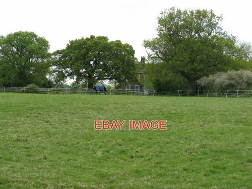 Photo horse grazing in - ,