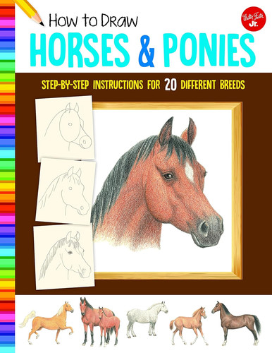 How draw horses ponies - to,