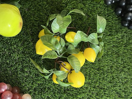 Mini lemon branch - 3x,
