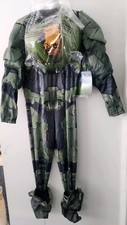 Halo Master Chief Infinite