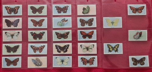 British butterflies 1955 - british,
