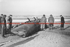 F003857 2 persons German