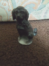 Rare black poodle - early, 1900s