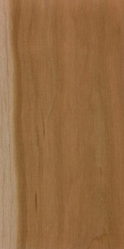 American cherry walking stick - cherry,