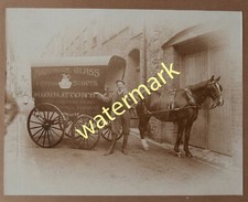 Horse-drawn waggon, Hardware & China Stores, Torquay, Devon, c1900s - Old Photo