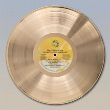 2 Live Crew "As Nasty As They Want To Be" Gold LP Record wall art