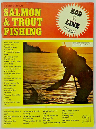 Salmon trout fishing rod - fishing,
