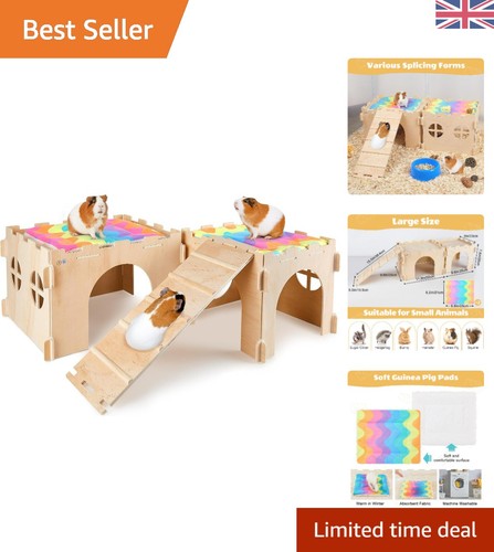 Spacious rainbow guinea pig - spacious,