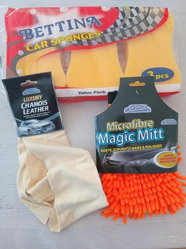 Essential car cleaning kit