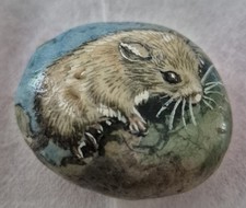 Detailed Hand Painted Vole On