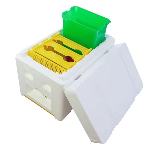 Bee pollination box queen - pollination,