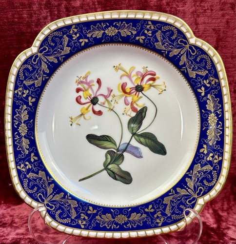 Exquisite spode the cabinet - spode,