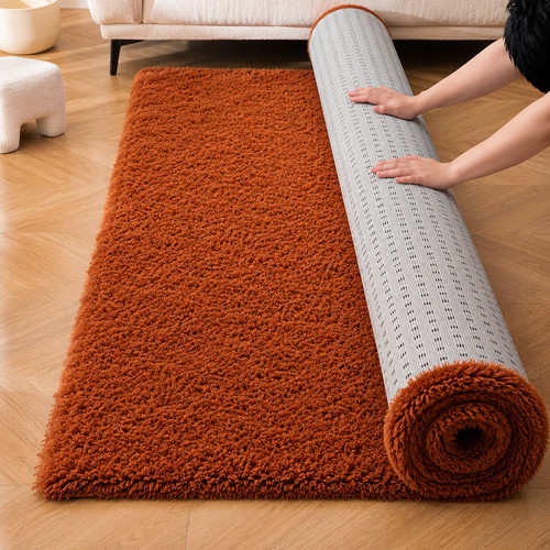 Large shaggy area rugs fluffy - shaggy,