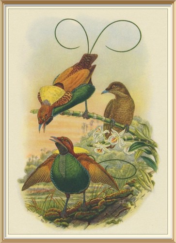 Original c1947 lithograph - original,