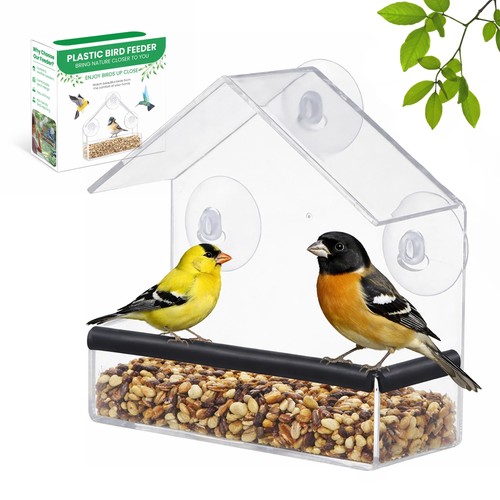 Foxup window bird - window, for