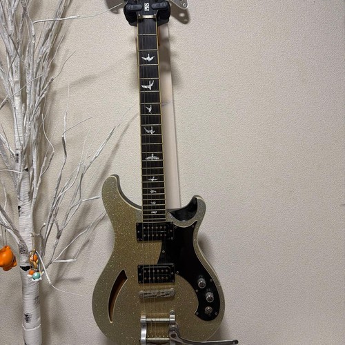 Rare prs custom semi - custom, semi-hollow