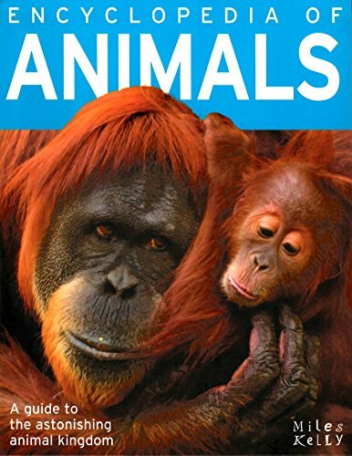 Encyclopedia animals by - of,