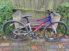 Wiggins Charters 26” Junior