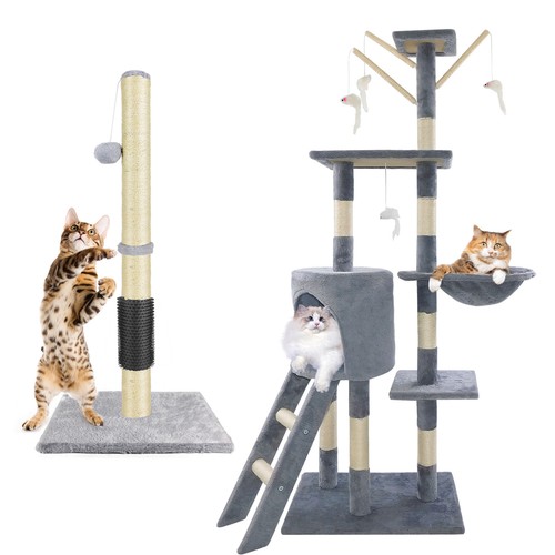 Large cat tree activity - cat,