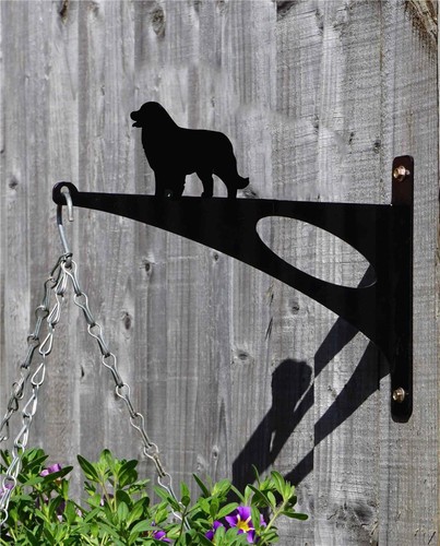 Pet cane corso dog - corso, stylish