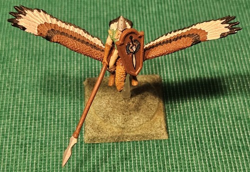 Warhammer wood elf - elf, eagle