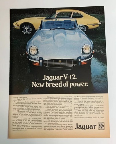 1974 jaguar type 12 new - jaguar,