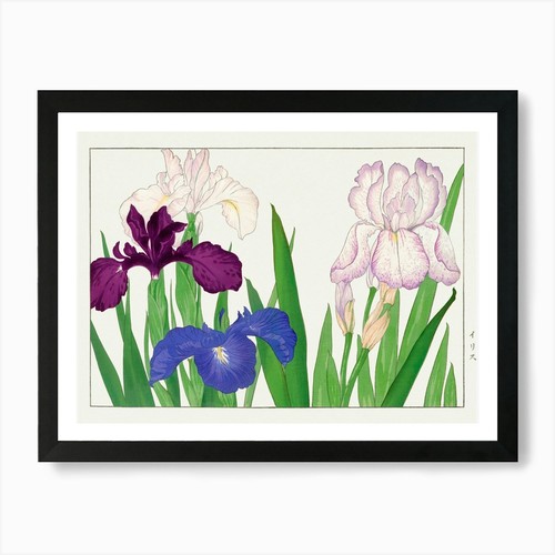 Iris japanese art print framed - art,