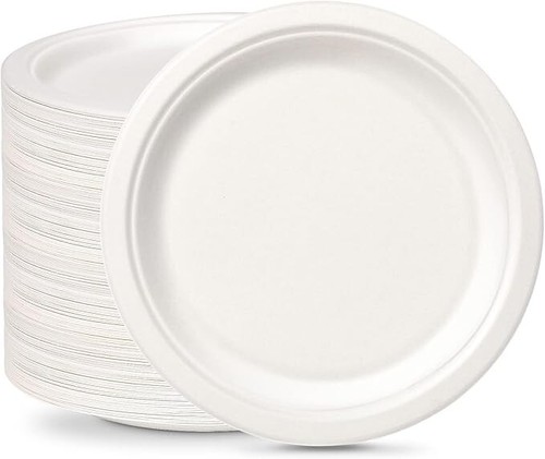 Eco friendly disposable plates - friendly,