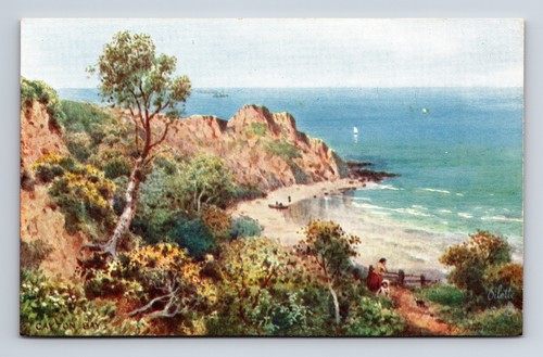 Tuck oilette cayton bay - tuck's,