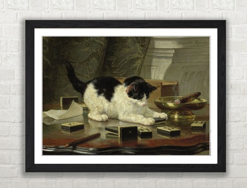 Cat play henriette - cat,