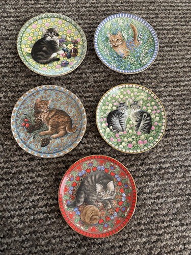 Meet kittens collector - meet, kittens"
