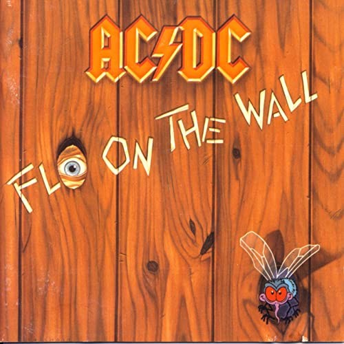 Fly the wall - -,