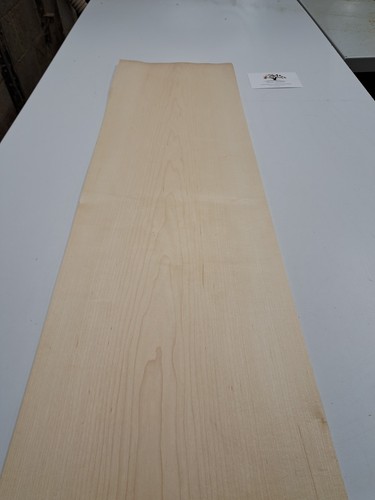 Maple veneer natural - veneer, wood