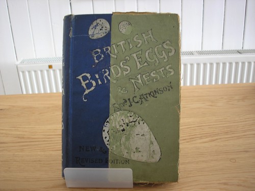 British birds eggs and - and, nests