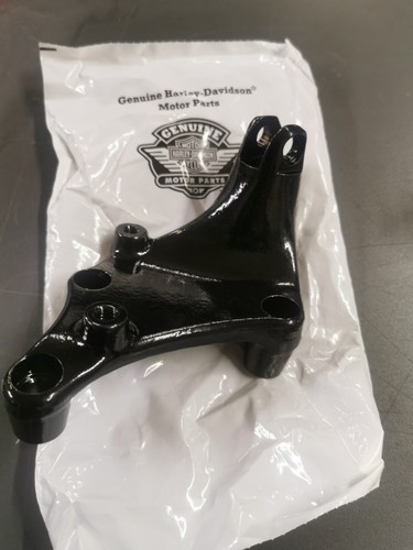 Genuine harley davidson - genuine, harley-davidson