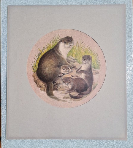 Otters lesley anne ivory - otters,,