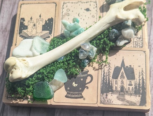 Bone taxidermy art - bone,