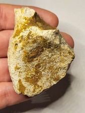 Edmontosaurus TOE! Rare